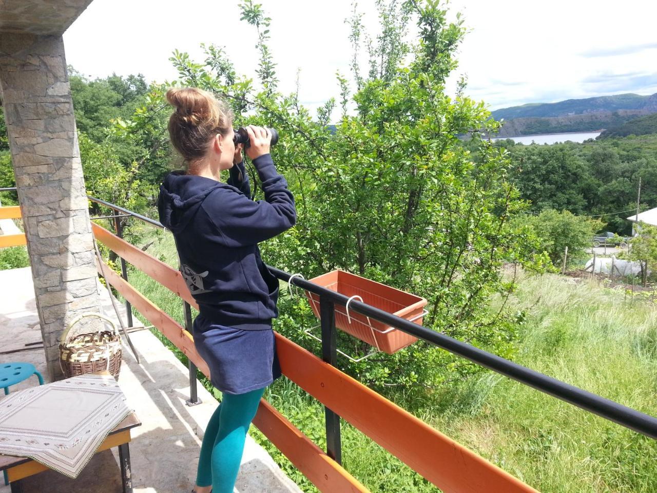 Mihaela Lake Retreat Gnyazdovo ภายนอก รูปภาพ