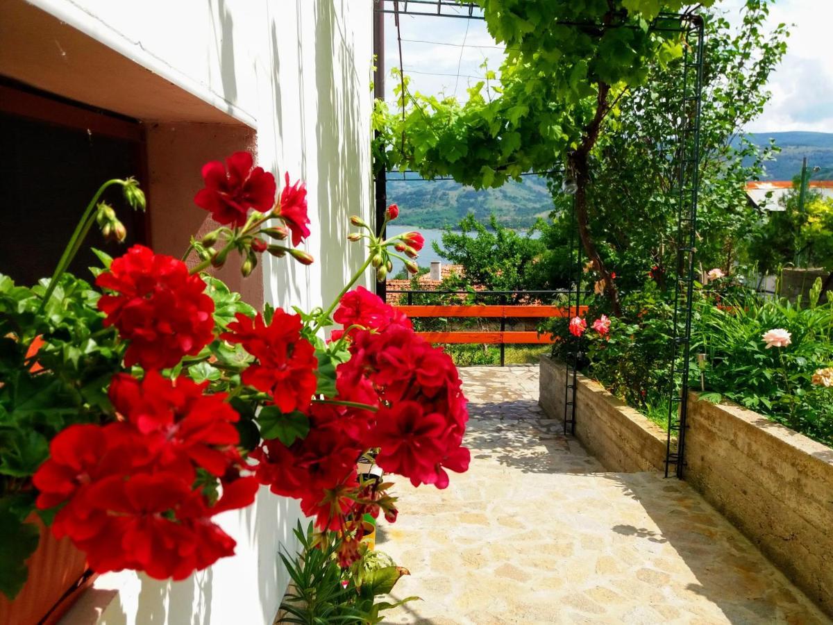 Mihaela Lake Retreat Gnyazdovo ภายนอก รูปภาพ